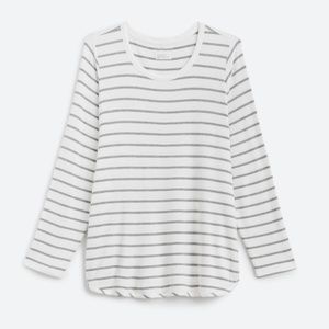 MARKET & SPRUCE Zansia Curved Hem French Terry Knit Top